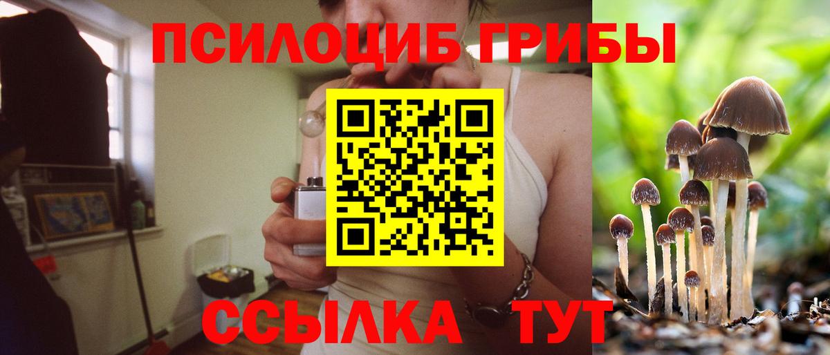 Будённовск  Псилоцибиновые грибы Psilocybine cubensis  Вход с VPN  Псилоцибиновые грибы Psilocybe 